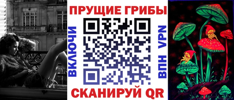 Псилоцибиновые грибы ЛСД  Купить где  Рассказово 